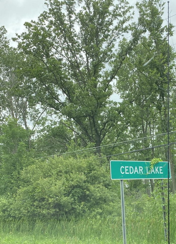 Cedar Lake - July 2020